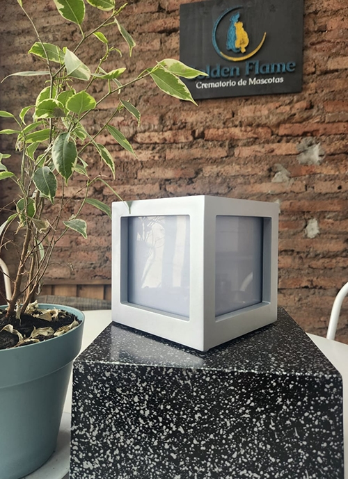 Cuadro madera Plateado