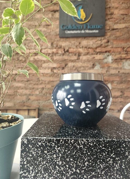 Huella Azul