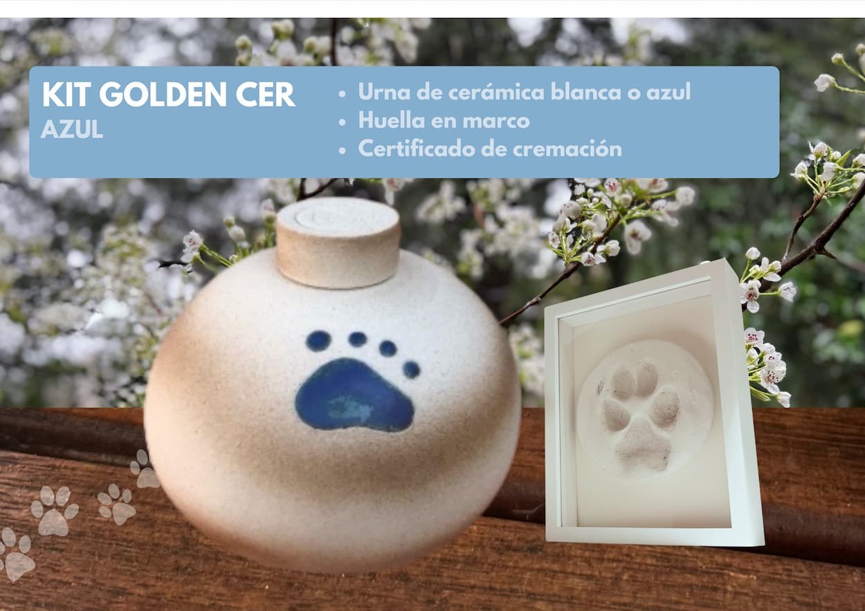 En Golden Flame, tu tranquilidad es nuestra prioridad. Déjanos ayudarte a rendir el último homenaje a tu querida mascota de una manera digna y respetuosa. Para más información o para programar una consulta, visita nuestra página web o contáctanos directamente.