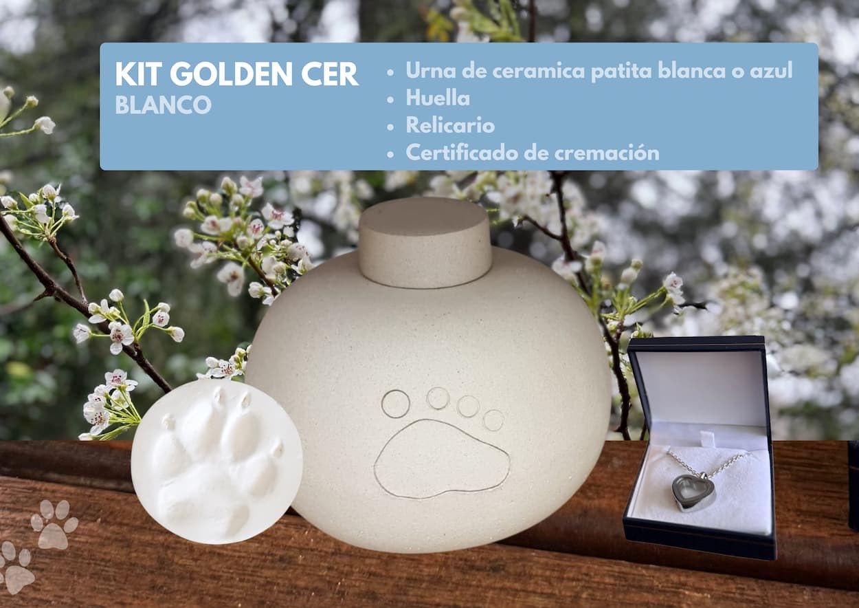 En Golden Flame, tu tranquilidad es nuestra prioridad. Déjanos ayudarte a rendir el último homenaje a tu querida mascota de una manera digna y respetuosa. Para más información o para programar una consulta, visita nuestra página web o contáctanos directamente.